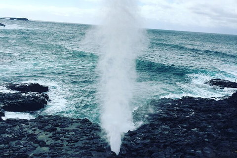 Southern Highlands & South Coast Private Tour From Sydney - Food Delivery Shop 5