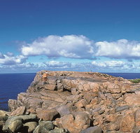 4 Day Tour Albany Margaret River Valley of the Giants TreeTop Walk from Perth - Food Delivery Shop