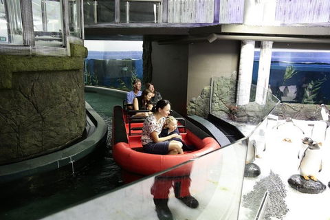 Sydney Attractions Pass: SEA LIFE Aquarium, Sydney Tower Eye, WILD LIFE Zoo And Madame Tussauds - Food Delivery Shop 0