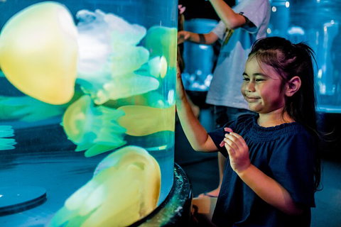 SEA LIFE Sydney Aquarium Entrance Ticket - Food Delivery Shop 5