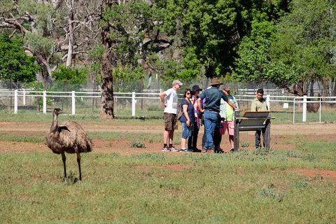 Yura Udnyu - Our Culture, Your Culture (Aboriginal Cultural Walk) - Pet Food Australia 1