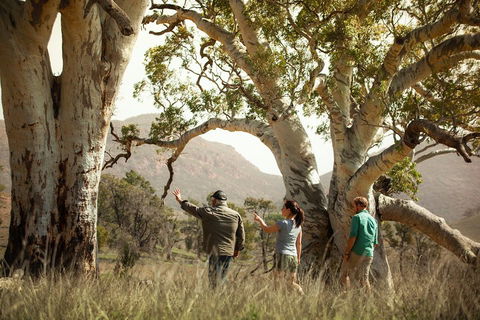 Yura Udnyu - Our Culture, Your Culture (Aboriginal Cultural Walk) - Pet Food Australia 5
