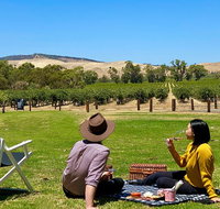 Private Picnic and Wine Tasting Experience in Barossa Valley - Food Delivery Shop