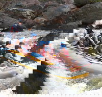 Barron River Half-Day White Water Rafting from Cairns - Pet Food Australia