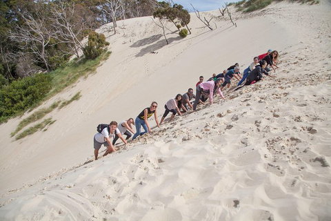 3 Day Tasmanian Wild West Coast Tour From Hobart To Launceston - Food Delivery Shop 2