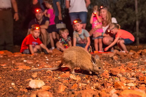 Alice Springs Desert Park Nocturnal Tour - Food Delivery Shop 1
