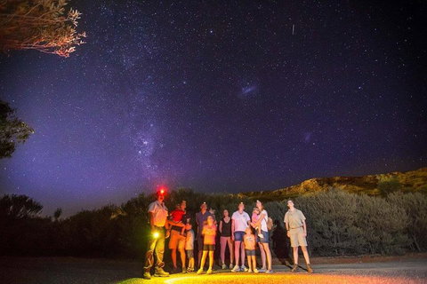 Alice Springs Desert Park Nocturnal Tour - Food Delivery Shop 2