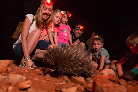 Alice Springs Desert Park Nocturnal Tour - Food Delivery Shop 5