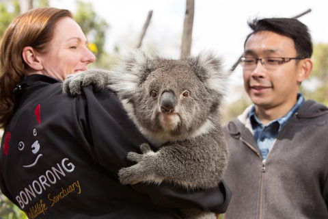Bonorong Wildlife Park And Richmond Afternoon Tour From Hobart - Food Delivery Shop 0