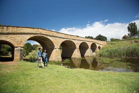 Bonorong Wildlife Park And Richmond Afternoon Tour From Hobart - Food Delivery Shop 2