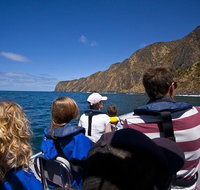 Seal Island Boat Tour from Victor Harbor - Food Delivery Shop