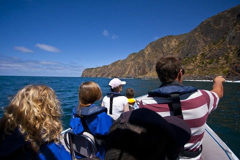 Seal Island Boat Tour From Victor Harbor - Pet Food Australia 0