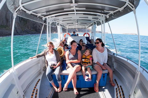 Seal Island Boat Tour From Victor Harbor - Pet Food Australia 1