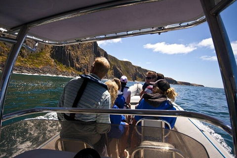 Seal Island Boat Tour From Victor Harbor - Pet Food Australia 2