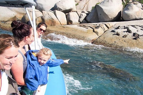 Seal Island Boat Tour From Victor Harbor - Pet Food Australia 4