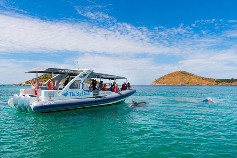 Southern Ocean Adventure From Victor Harbor - Pet Food Australia 1