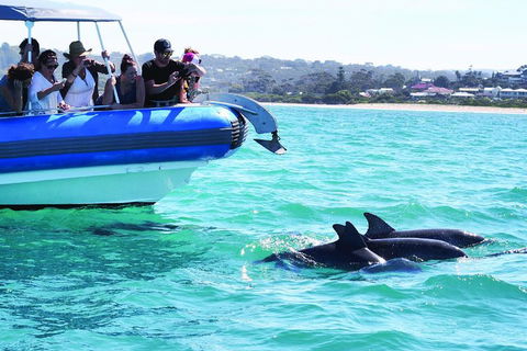 Southern Ocean Adventure From Victor Harbor - Pet Food Australia 2
