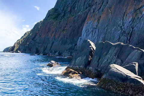 Southern Ocean Adventure From Victor Harbor - Pet Food Australia 3