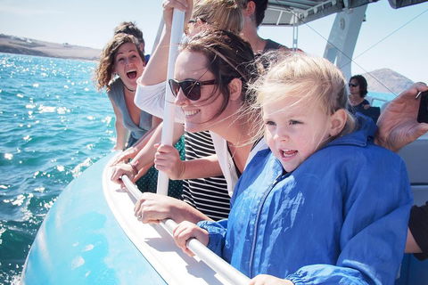 Southern Ocean Adventure From Victor Harbor - Pet Food Australia 4