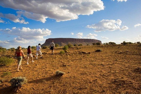 Mount Conner 4WD Small Group Tour From Ayers Rock Including Dinner - Food Delivery Shop 0