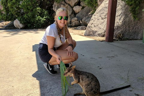 Magnetic Island Tour: Maggie Comprehensive - Pet Food Australia 2