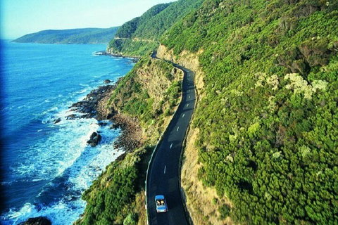 Melbourne Super Saver: Great Ocean Road + Mornington Peninsula + Attraction Pass - Food Delivery Shop 0