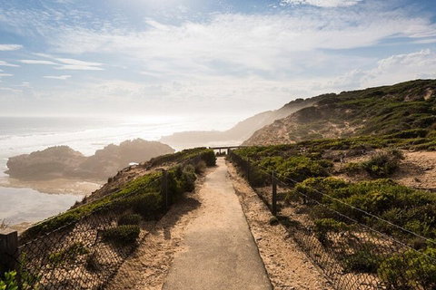 Melbourne Super Saver: Great Ocean Road + Mornington Peninsula + Attraction Pass - Food Delivery Shop 4