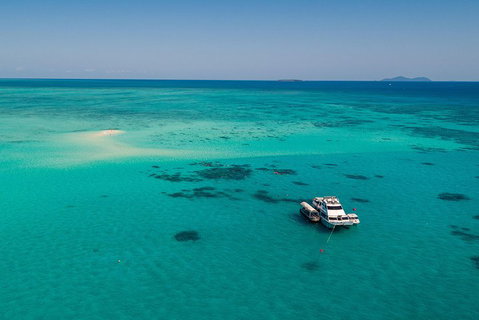 Ocean Freedom Great Barrier Reef Personal Luxury Snorkel & Dive Cruise, Cairns - Food Delivery Shop 2