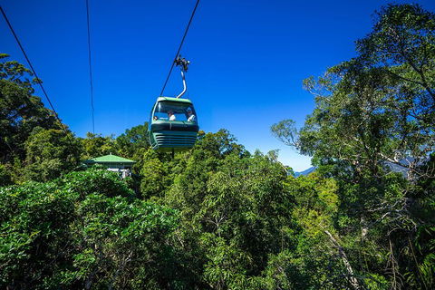 Classic Kuranda By Skyrail And Scenic Railway Including Rainforestation, Koala And Wildlife Park And Pamagirri Aboriginal Experi - Food Delivery Shop 0