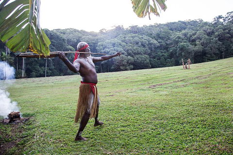 Classic Kuranda By Skyrail And Scenic Railway Including Rainforestation, Koala And Wildlife Park And Pamagirri Aboriginal Experi - Food Delivery Shop 5
