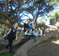 1/2 day Swan Valley Wine Cheese  Chocolate Tour Inc Afternoon Cruise to Perth - Food Delivery Shop