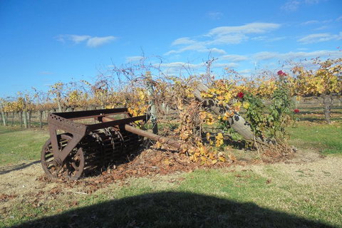 Swan Valley Tour From Perth: Wine, Beer And Chocolate Tastings - Food Delivery Shop 3