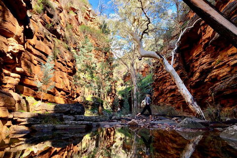 10-Day Adelaide To Perth Adventure Tour - Pet Food Australia 5