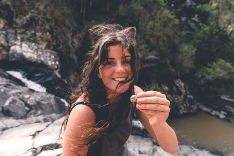 Springbrook AndTamborine Rainforest Tour Incl Natural Bridge And Glow Worm Cave - Food Delivery Shop 1