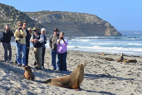 2-Day Kangaroo Island 4WD Small-Group Tour From Adelaide - Food Delivery Shop 3