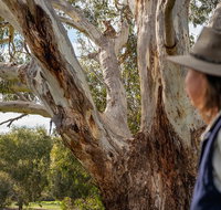 NEW TOUR - Kangaroo Island Road to Recovery Tour 1 Day/1 Night - Food Delivery Shop
