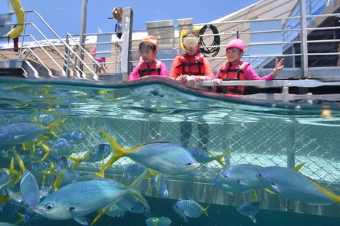 Outer Reef Pontoon Experience From Cairns - Food Delivery Shop 0