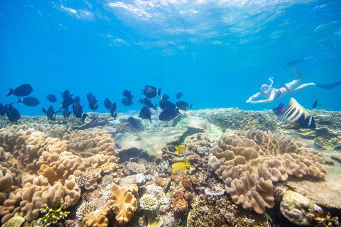 Outer Reef Pontoon Experience From Cairns - Food Delivery Shop 4