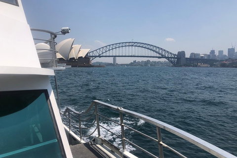 Sydney Harbour Discovery Cruise Including Lunch - Pet Food Australia 3