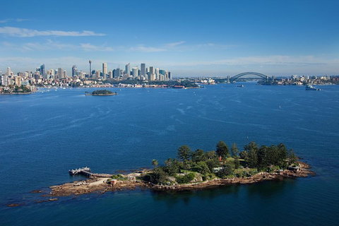 Sydney Harbour Discovery Cruise Including Lunch - Pet Food Australia 4