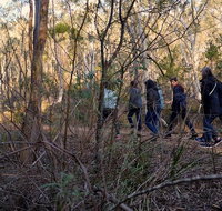 Wild Australian Wildlife 4WD Tour from Sydney - Food Delivery Shop