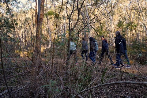 Wild Australian Wildlife 4WD Tour From Sydney - Food Delivery Shop 0