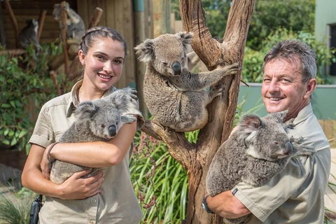 Sydney Wine Tour â€“ Wine, Waves & Wildlife In South Coast - Food Delivery Shop 2