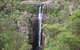 Sydney Wine Tour â€“ Wine, Waves & Wildlife In South Coast - thumb 3