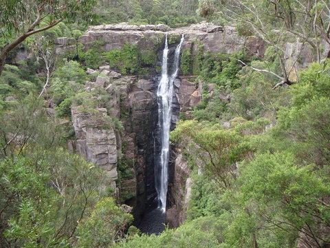 Sydney Wine Tour â€“ Wine, Waves & Wildlife In South Coast - Food Delivery Shop 3