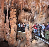 Blue Mountains Private Tour from Sydney with Jenolan Caves - Food Delivery Shop
