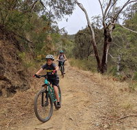 Mount Lofty Descent Bike Tour from Adelaide - Food Delivery Shop