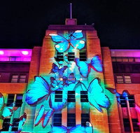 Vivid 90-Minute Sydney Harbour Small Group Catamaran Cruise - Food Delivery Shop