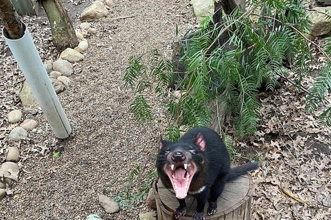 Featherdale Wildlife Park General Admission - Food Delivery Shop 1