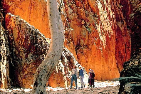West MacDonnell Ranges Day Trip From Alice Springs - Food Delivery Shop 3